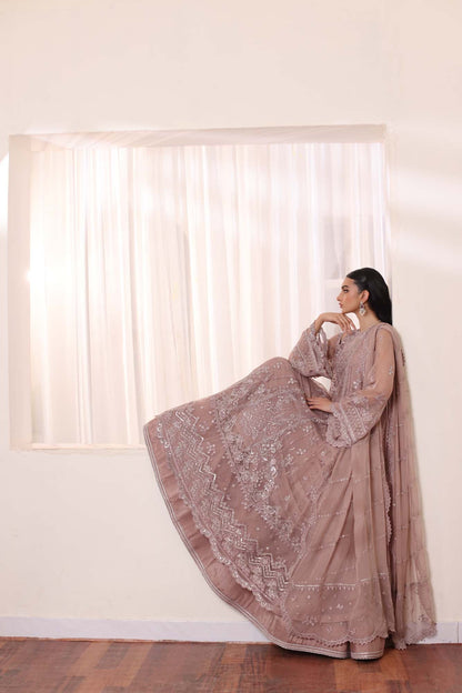 Noor by Saadia Asad | Noor Chiffon De Luxe | D7 - House Of Anaya