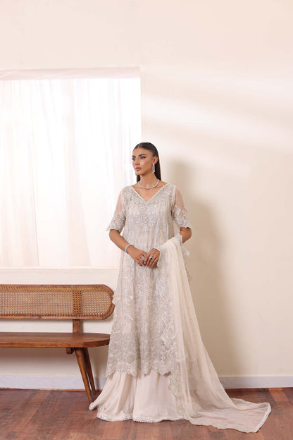 Noor by Saadia Asad | Noor Chiffon De Luxe | D5 - House Of Anaya