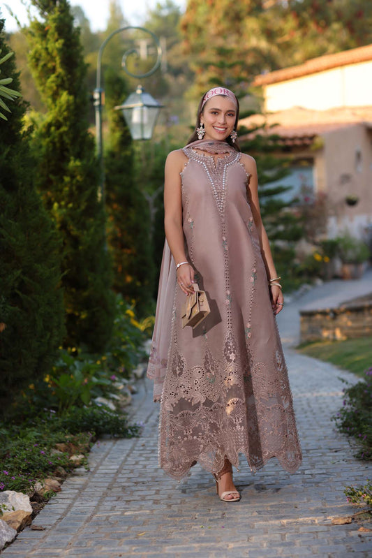 Noor by Saadia Asad | Luxe Chikankari 25 | D6-B - House Of Anaya