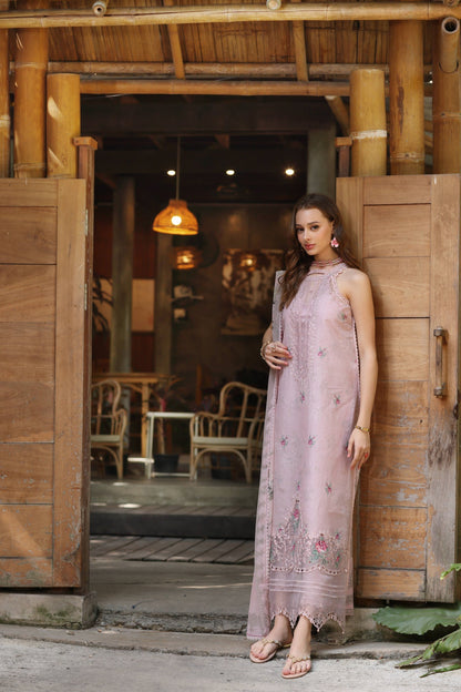 Noor by Saadia Asad | Eid Luxe Printedkari | D2-B