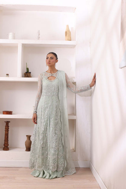Noor by Saadia Asad | Noor Chiffon De Luxe | D8 - House Of Anaya