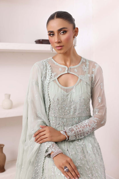 Noor by Saadia Asad | Noor Chiffon De Luxe | D8 - House Of Anaya