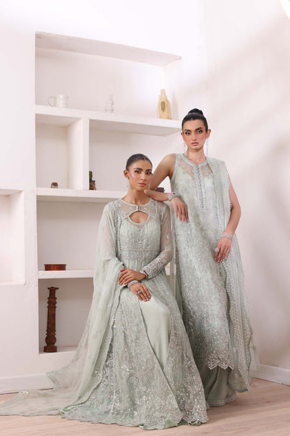 Noor by Saadia Asad | Noor Chiffon De Luxe | D8 - House Of Anaya