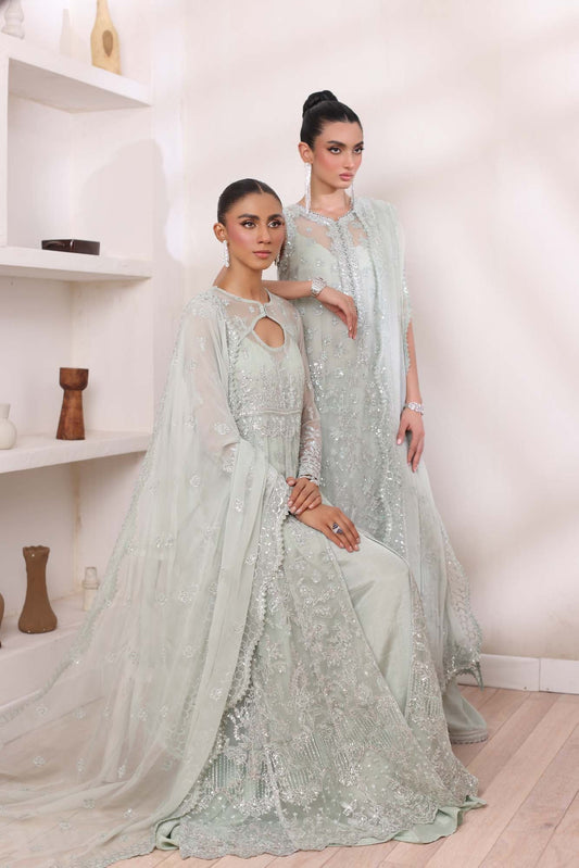 Noor by Saadia Asad | Noor Chiffon De Luxe | D8 - House Of Anaya