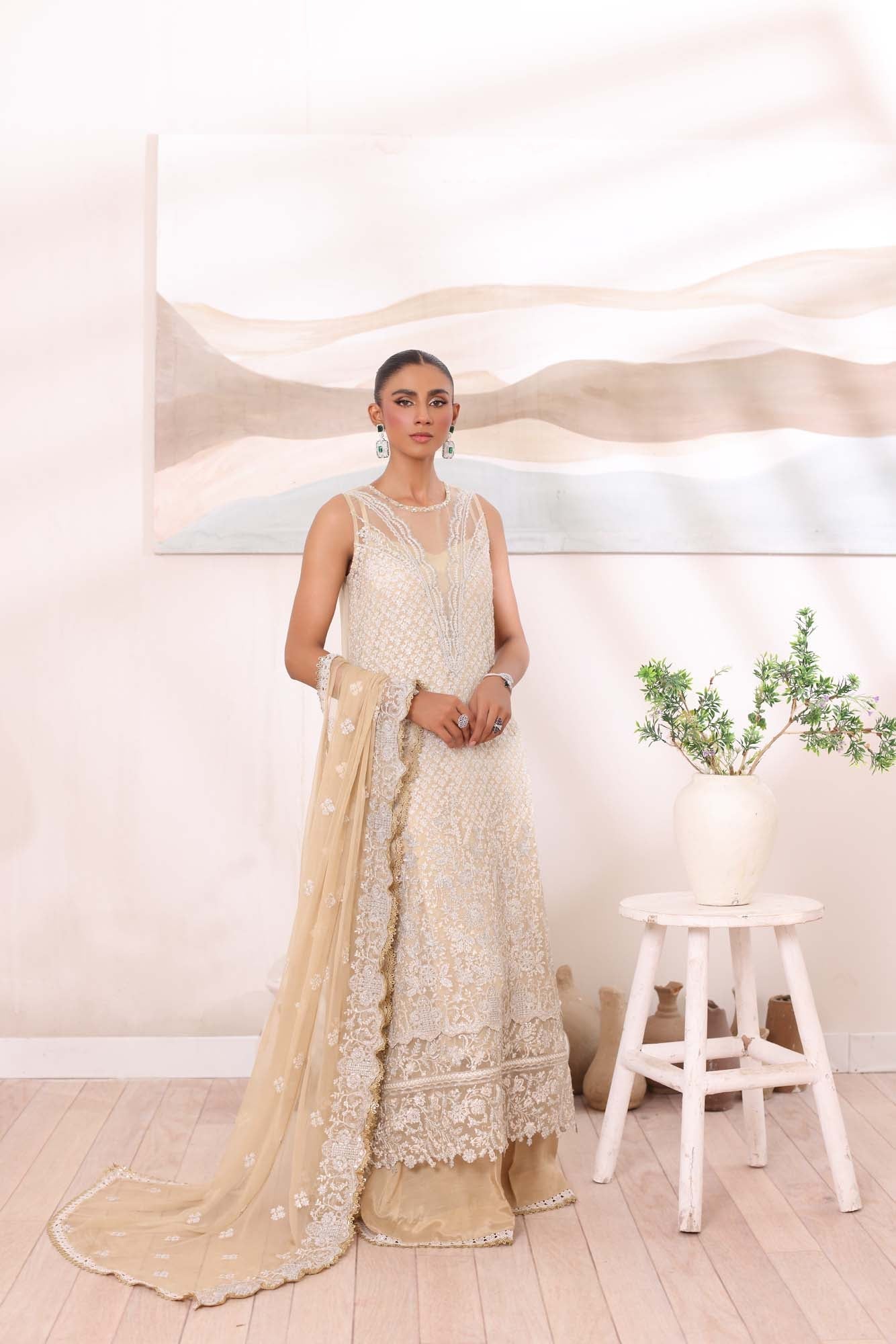 Noor by Saadia Asad | Noor Chiffon De Luxe | D1 - House Of Anaya
