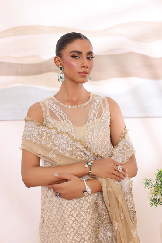Noor by Saadia Asad | Noor Chiffon De Luxe | D1 - House Of Anaya