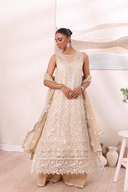 Noor by Saadia Asad | Noor Chiffon De Luxe | D1 - House Of Anaya