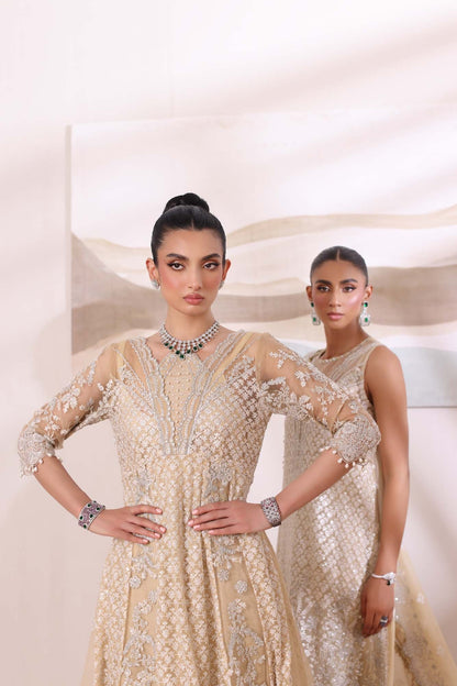 Noor by Saadia Asad | Noor Chiffon De Luxe | D1 - House Of Anaya