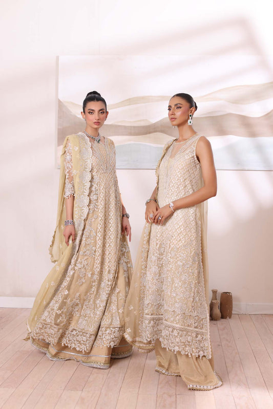 Noor by Saadia Asad | Noor Chiffon De Luxe | D1 - House Of Anaya