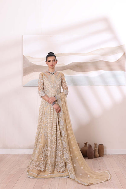 Noor by Saadia Asad | Noor Chiffon De Luxe | D1 - House Of Anaya