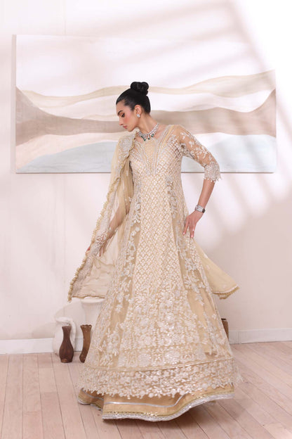 Noor by Saadia Asad | Noor Chiffon De Luxe | D1 - House Of Anaya