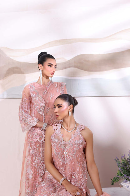 Noor by Saadia Asad | Noor Chiffon De Luxe | D6 - House Of Anaya
