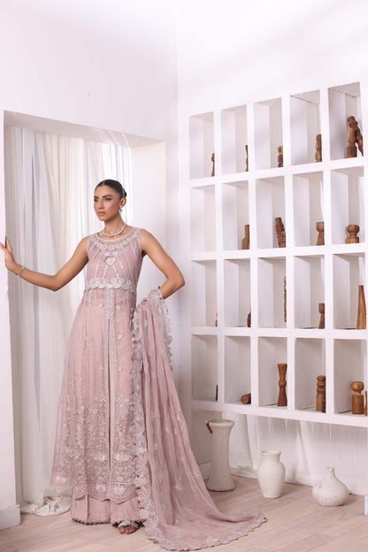 Noor by Saadia Asad | Noor Chiffon De Luxe | D3 - House Of Anaya