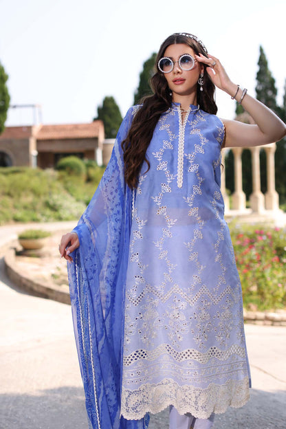 Noor by Saadia Asad | Eid Luxe Printkari 24 | D8 - House Of Anaya