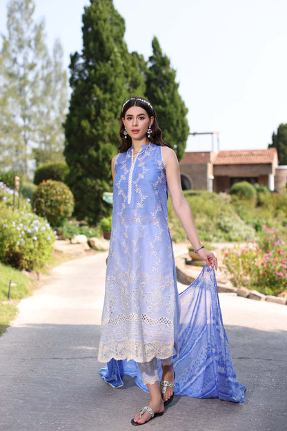 Noor by Saadia Asad | Eid Luxe Printkari 24 | D8 - House Of Anaya