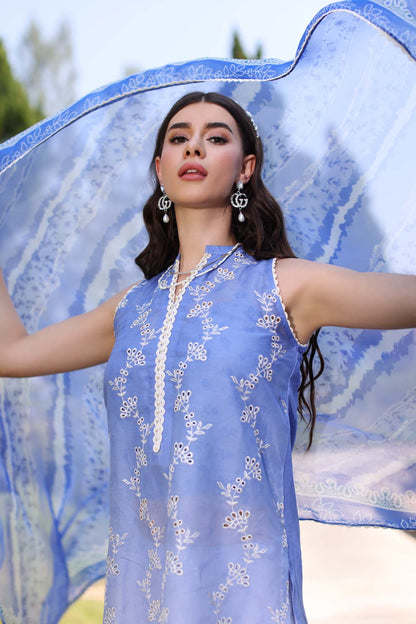 Noor by Saadia Asad | Eid Luxe Printkari 24 | D8 - House Of Anaya