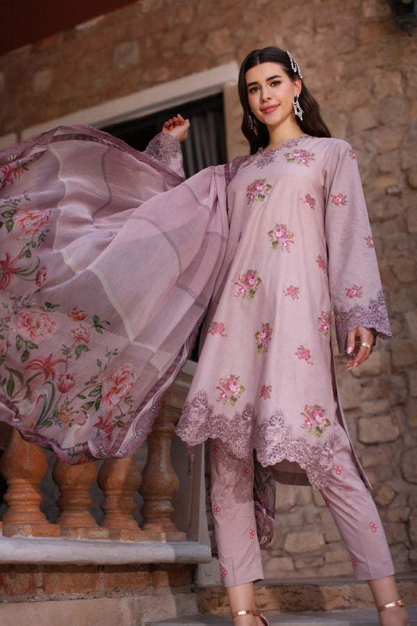 Noor by Saadia Asad | Eid Luxe Printkari 24 | D4 - House Of Anaya