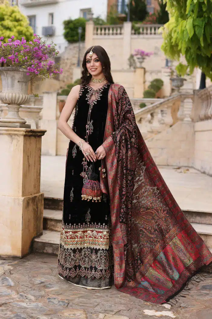 Noor by Saadia Asad | Kaani Wedding Formals 23 | D6 - House Of Anaya