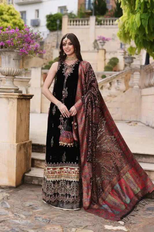 Noor by Saadia Asad | Kaani Wedding Formals 23 | D6 - House Of Anaya
