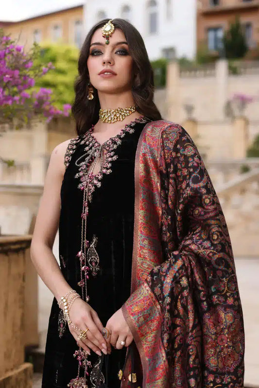 Noor by Saadia Asad | Kaani Wedding Formals 23 | D6 - House Of Anaya