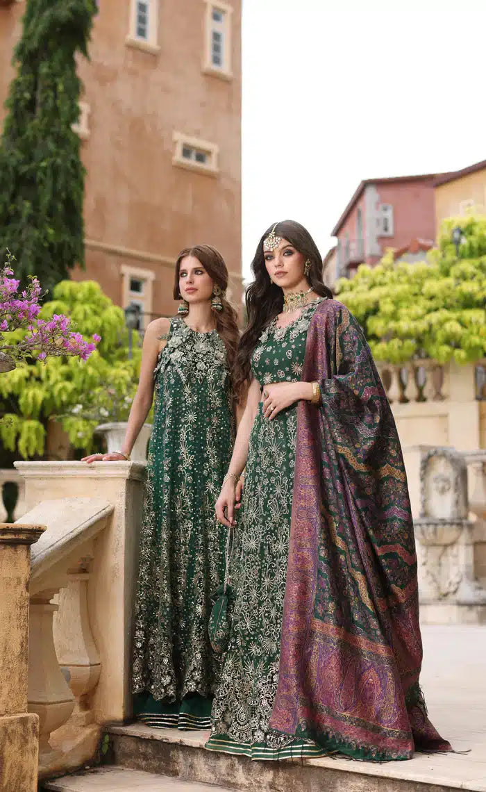 Noor by Saadia Asad | Kaani Wedding Formals 23 | D1 - House Of Anaya