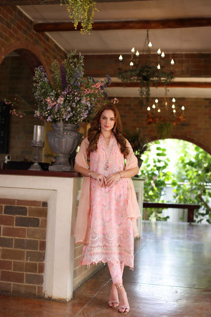 Noor by Saadia Asad | Eid Luxe Printkari 24 | D1 - House Of Anaya