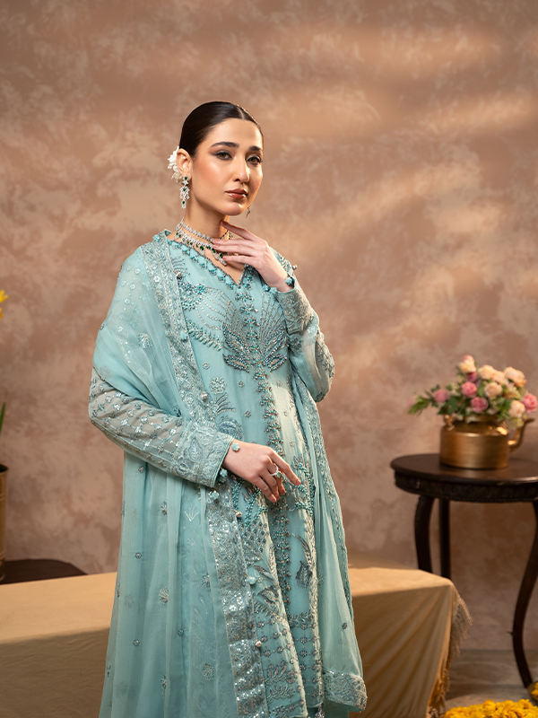 Zebtan | Zeenat Festive Collection | ZN-07 - House Of Anaya