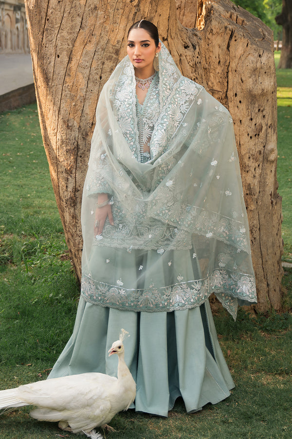 Ayzel | Pehli Nazar Wedding Formals | SULTANA - House Of Anaya