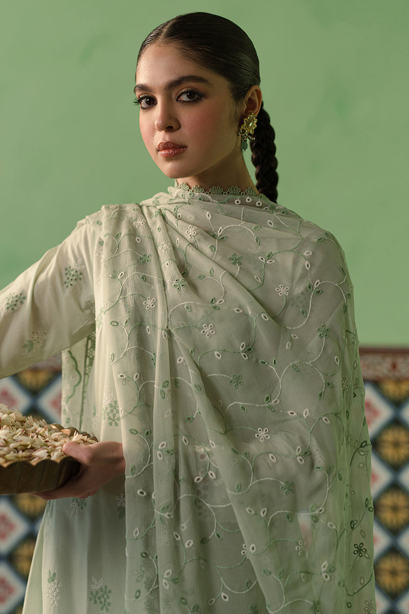 Cross Stitch | Chikankari Lawn Collection | P-01 - House Of Anaya