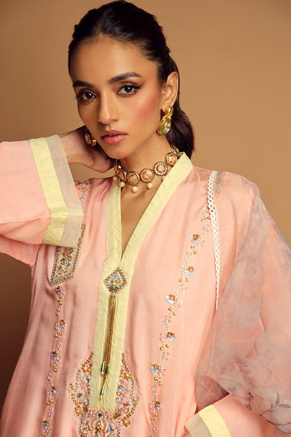 Wardha Saleem | Luxury Pret Traditional Wear | ALLURE (2PC) - House Of Anaya