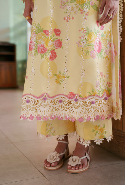 AJR Couture | Printed Chikankari 26 | Feya