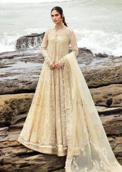 Afrozeh | Dastangoi Wedding Formal'24 | AWE-06 AROOHI - House Of Anaya