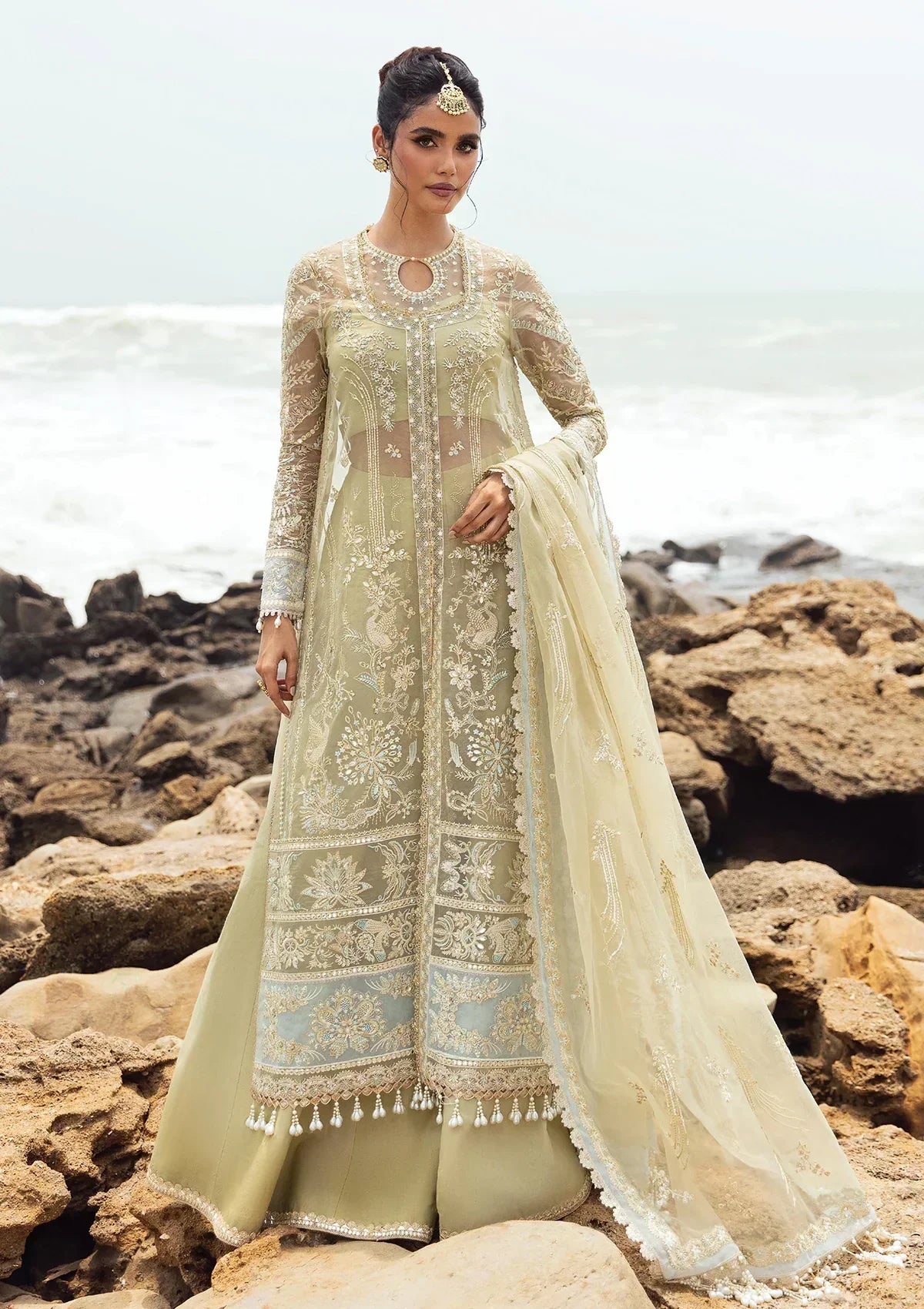 Afrozeh | Dastangoi Wedding Formal'24 | AWE-09 LEELA - House Of Anaya