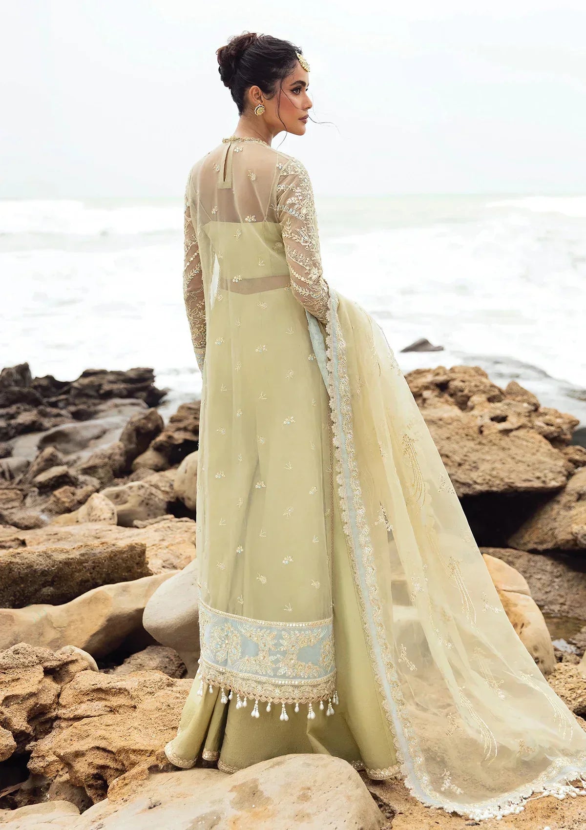 Afrozeh | Dastangoi Wedding Formal'24 | AWE-09 LEELA - House Of Anaya