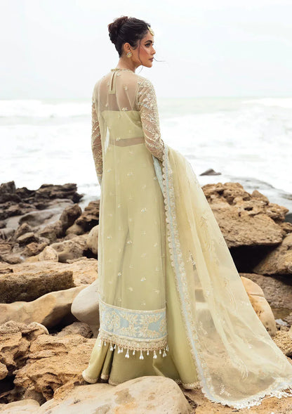 Afrozeh | Dastangoi Wedding Formal'24 | AWE-09 LEELA - House Of Anaya