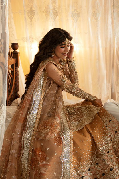 Afrozeh | Hayat Wedding Formals 24 | Nooray - House Of Anaya