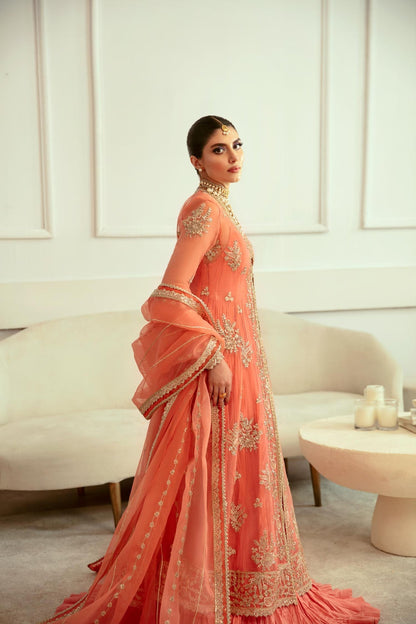 Akbar Aslam | Velora Formal Pret | Carmina