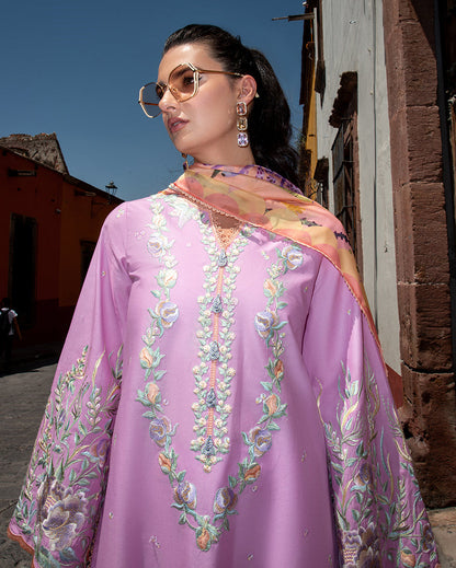 Mushq | Odyssey Lawn 26 | Alba