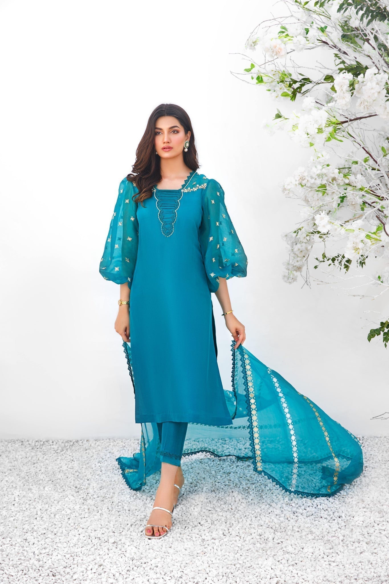 Anam Akhlaq | Festive Collection | D-15 - House Of Anaya