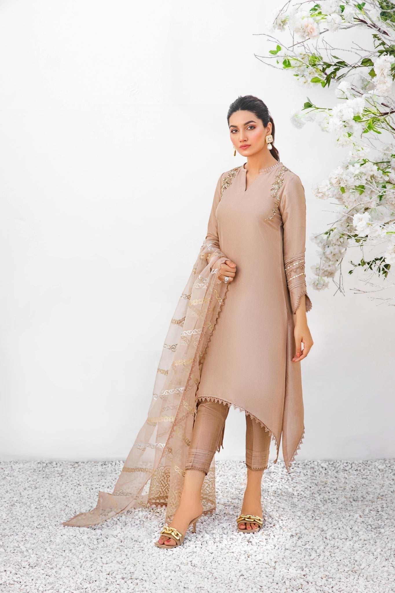 Anam Akhlaq | Festive Collection | D-18 - House Of Anaya
