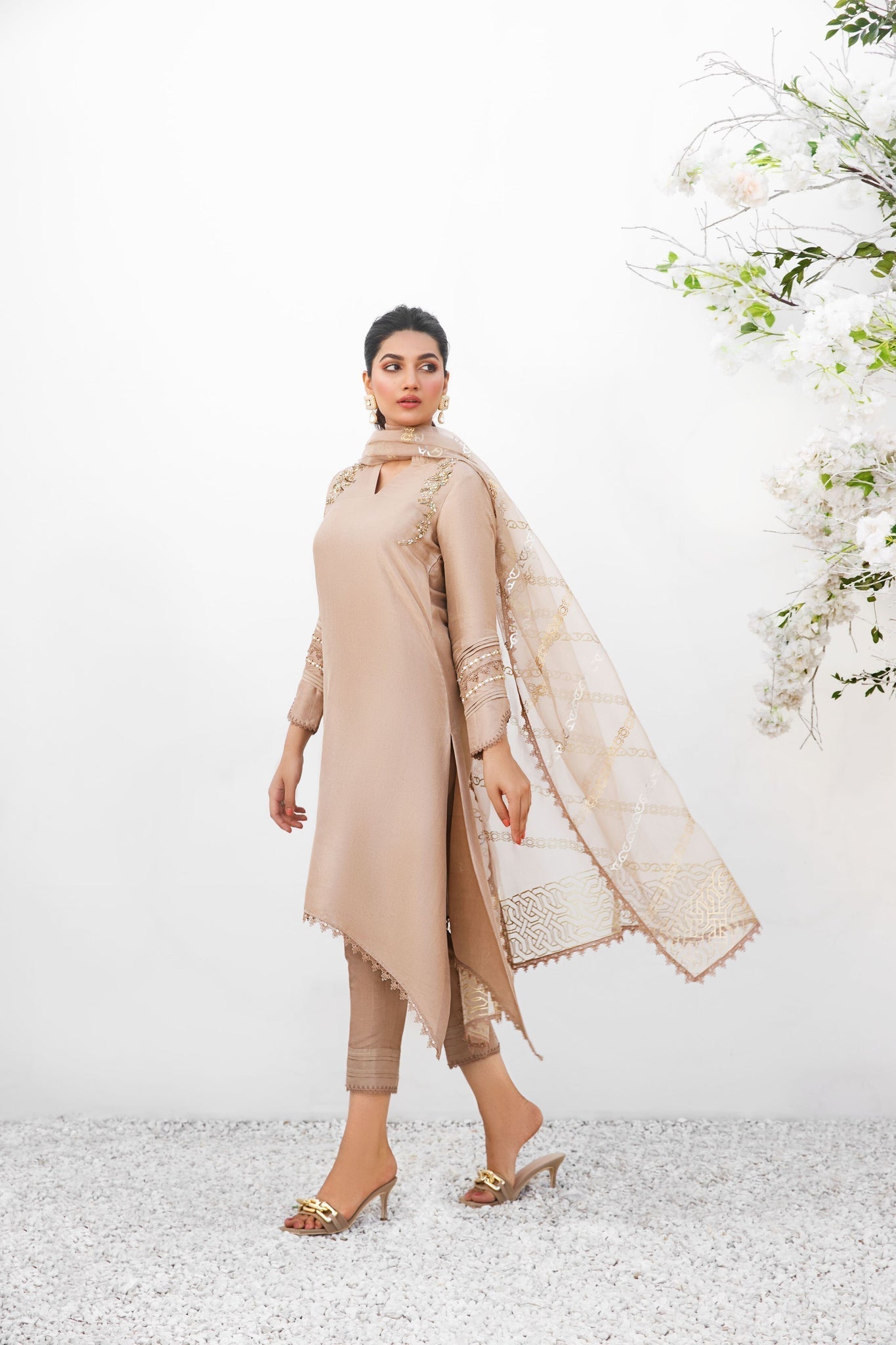 Anam Akhlaq | Festive Collection | D-18 - House Of Anaya