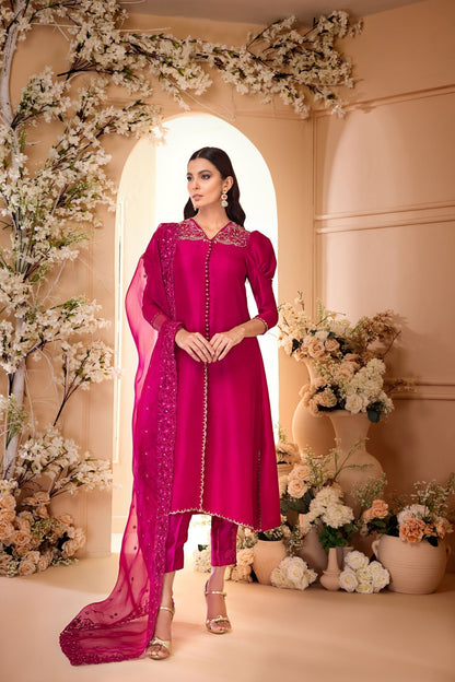 Anam Akhlaq | Festive Collection | D-31 - House Of Anaya