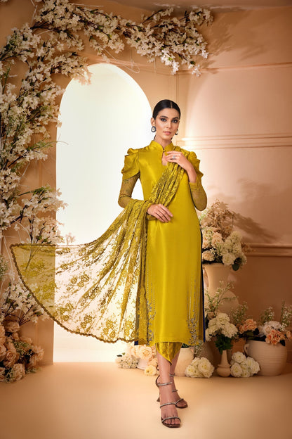 Anam Akhlaq | Festive Collection | D-34 - House Of Anaya