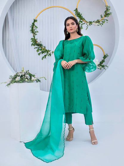 Anam Akhlaq | Festive Collection | D-05 - House Of Anaya