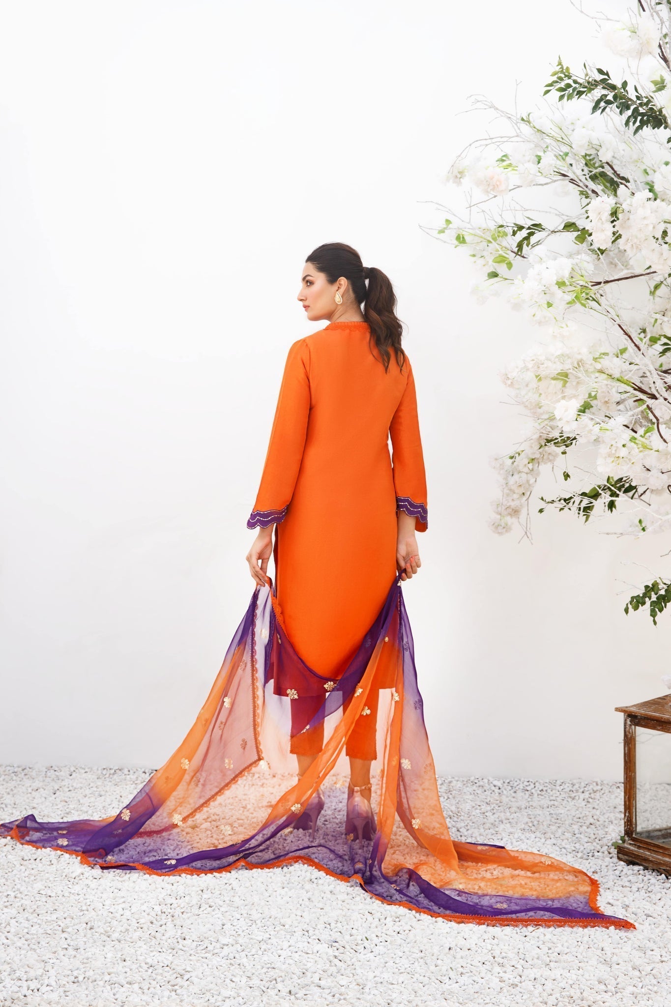 Anam Akhlaq | Festive Collection | D-19 - House Of Anaya