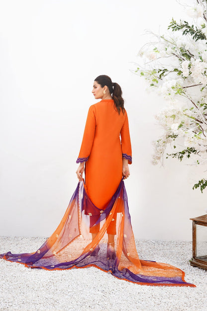 Anam Akhlaq | Festive Collection | D-19 - House Of Anaya