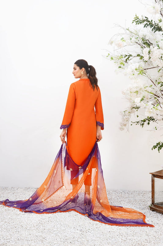 Anam Akhlaq | Festive Collection | D-19 - House Of Anaya