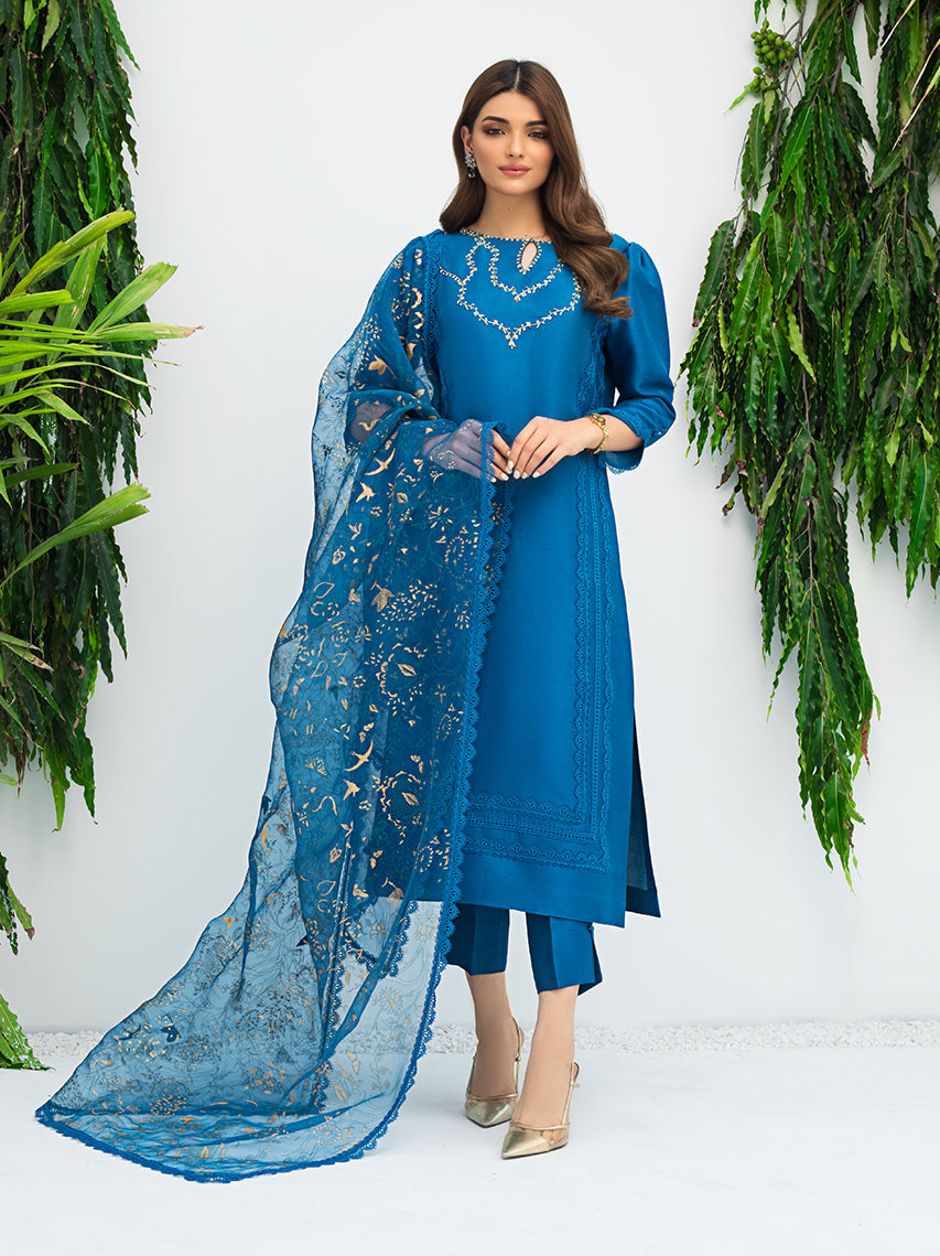 Anam Akhlaq | Festive Collection | D-07 - House Of Anaya