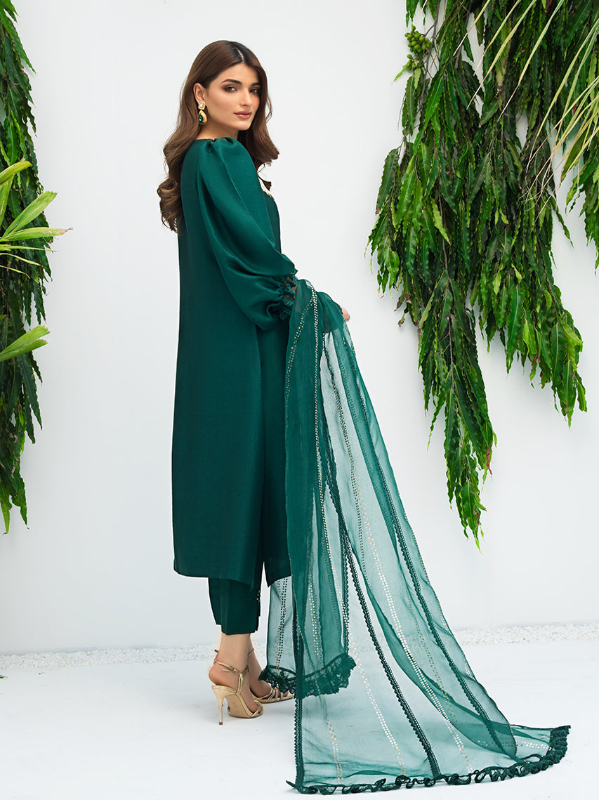 Anam Akhlaq | Festive Collection | D-08 - House Of Anaya