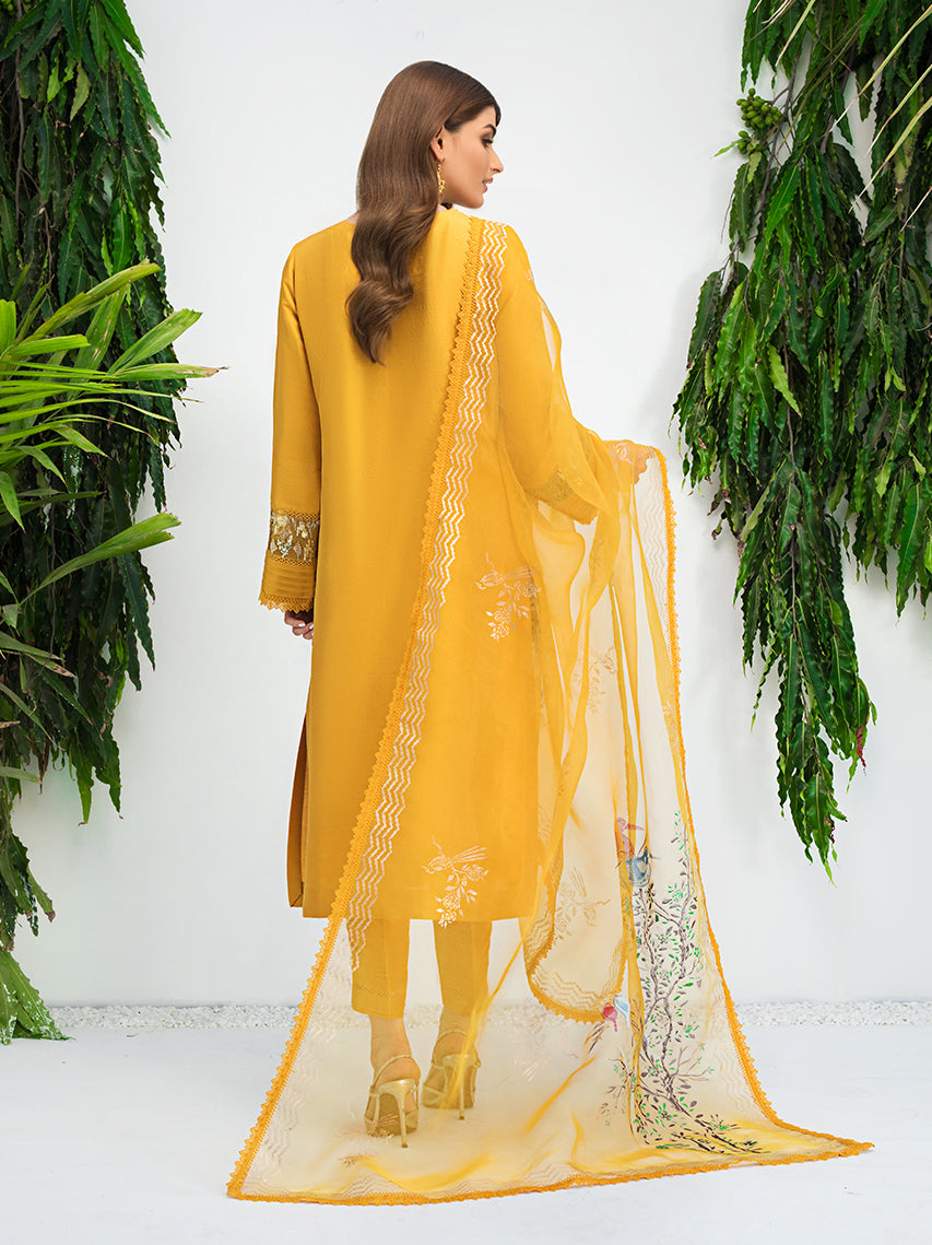 Anam Akhlaq | Festive Collection | D-10 - House Of Anaya